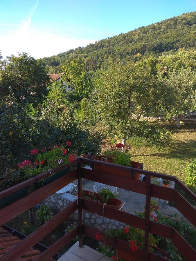 Apartman U Bukovickoj Banji Arandjelovac Εξωτερικό φωτογραφία